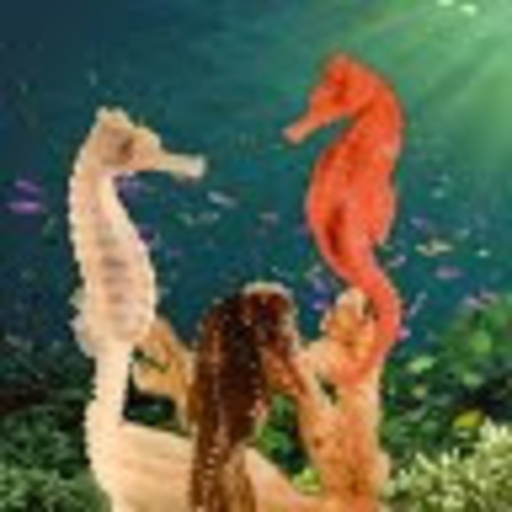 Meet your Posher, Susan